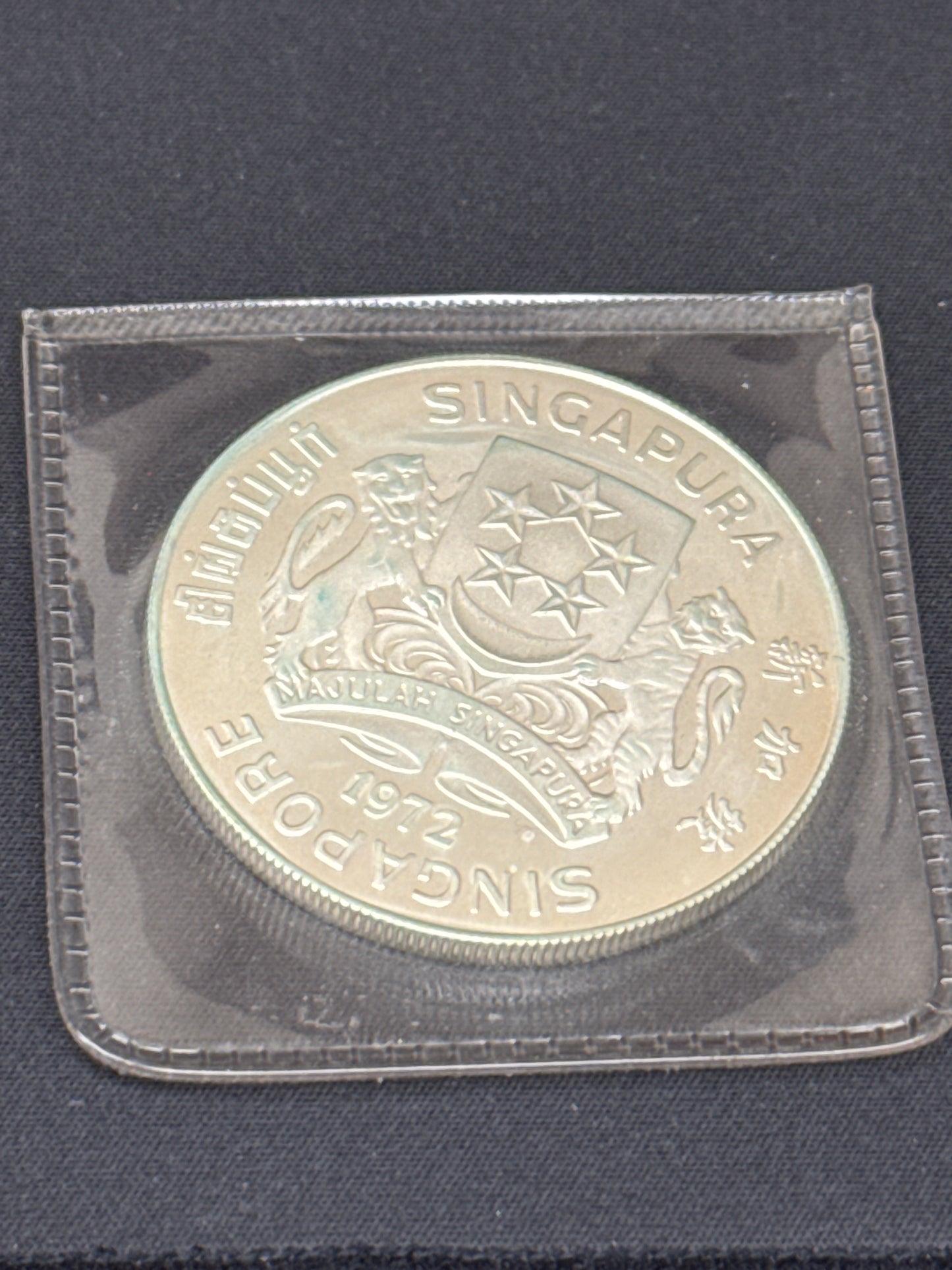 1 Oz Silver Coin Singapore