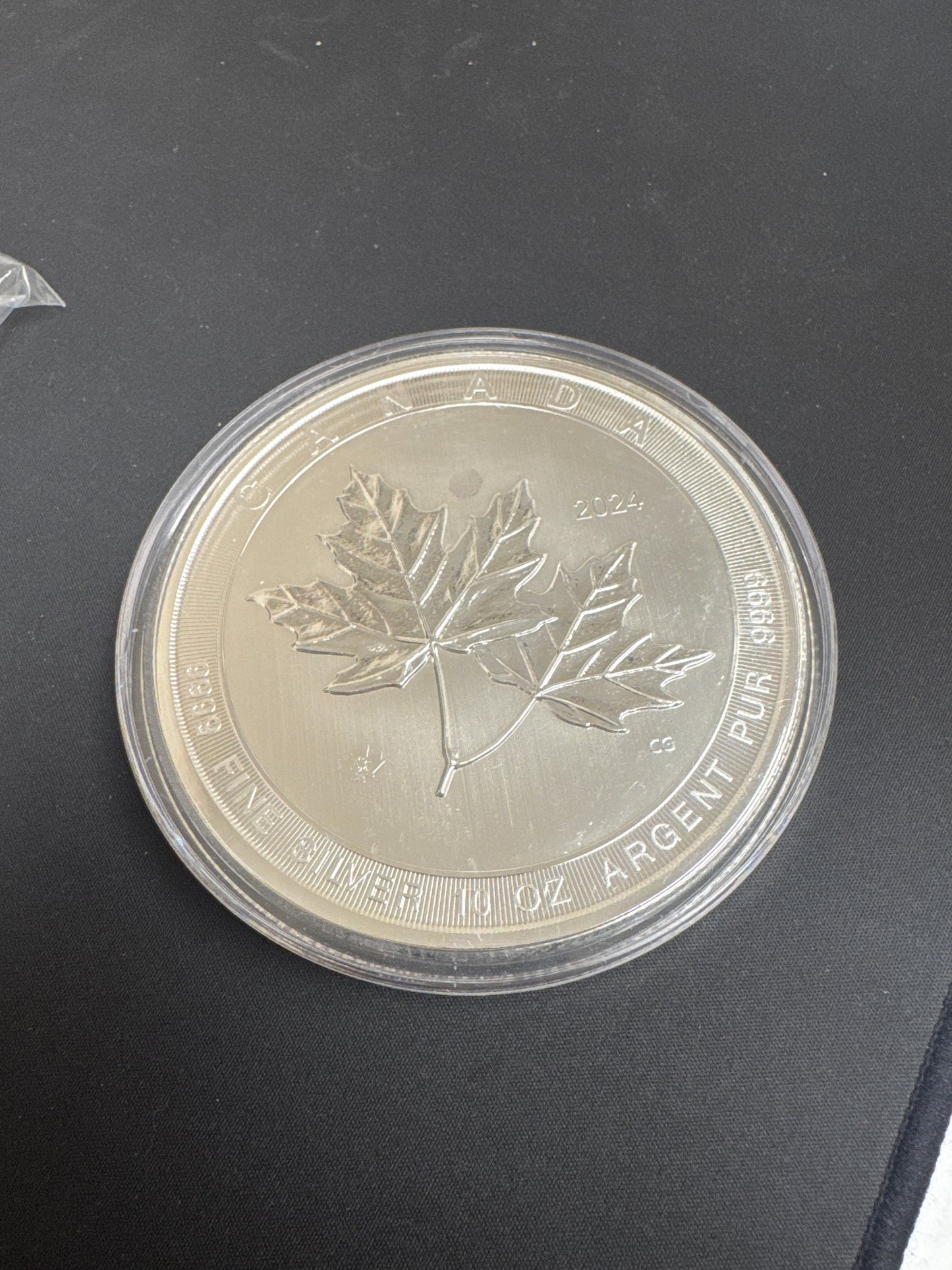10 Oz Silver Coin ML